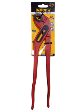 Cleste Papagal BEBONA 12"