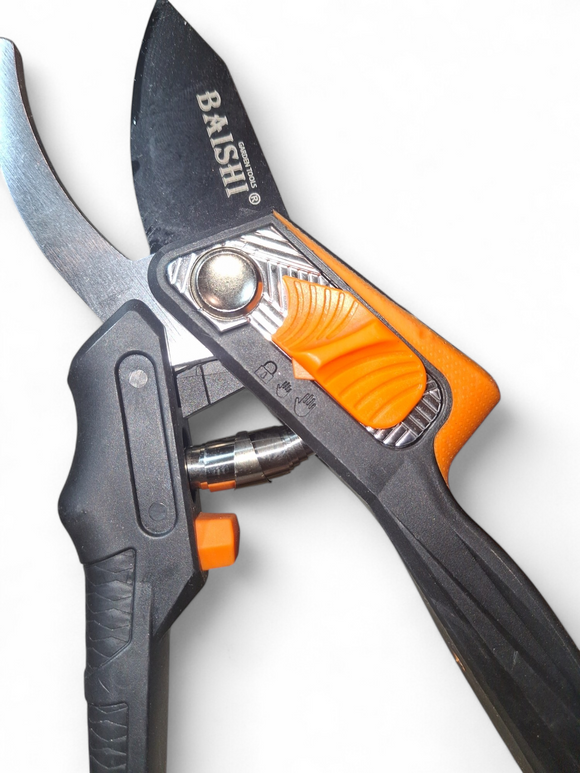 Foarfeca de Gradina/Vie