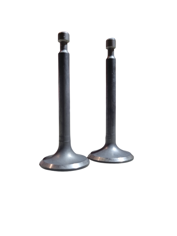 Set Supape Motor (Admisie si Evacuare) - 168F