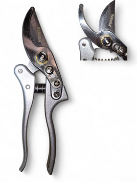 Foarfeca Profesionala pentru Vita de Vie BEBONA