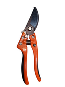 Foarfeca de Gradina / Vie-1