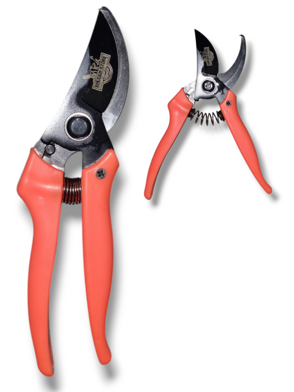 Foarfeca de Vie Portocalie