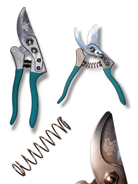 Foarfeca de Vie Profesionala VERDE