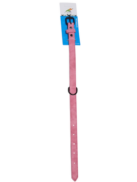 Curea de Câine Diverse Culori – 48 cm Lungime x 2 cm Lățime